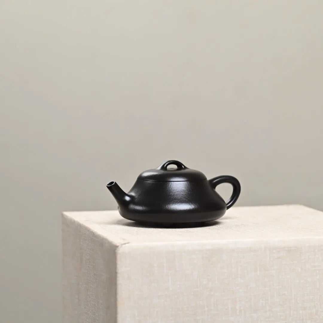 Shi Piao Wu Hui 170cc - Yixing Handmade Teapot 江苏宜兴