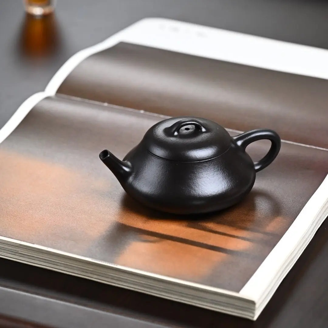 Shi Piao Wu Hui 170cc - Yixing Handmade Teapot 江苏宜兴