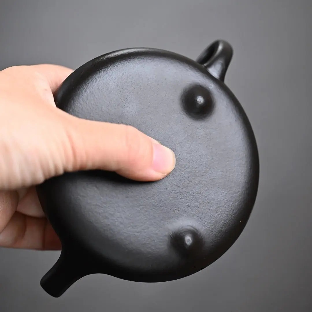 Shi Piao Wu Hui 170cc - Yixing Handmade Teapot 江苏宜兴