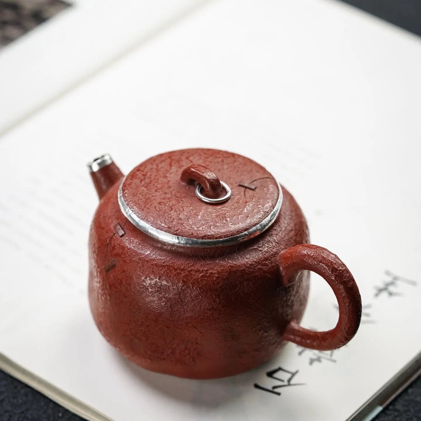 Shou Nie Hu 200cc - Yixing Handmade Teapot 江苏宜兴