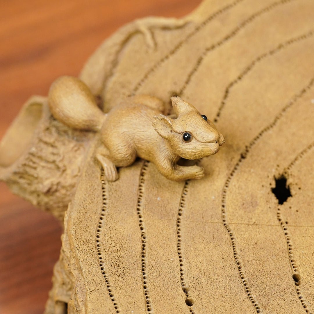 Shu Lai Bao - Dry Bubble Tray 江苏宜兴