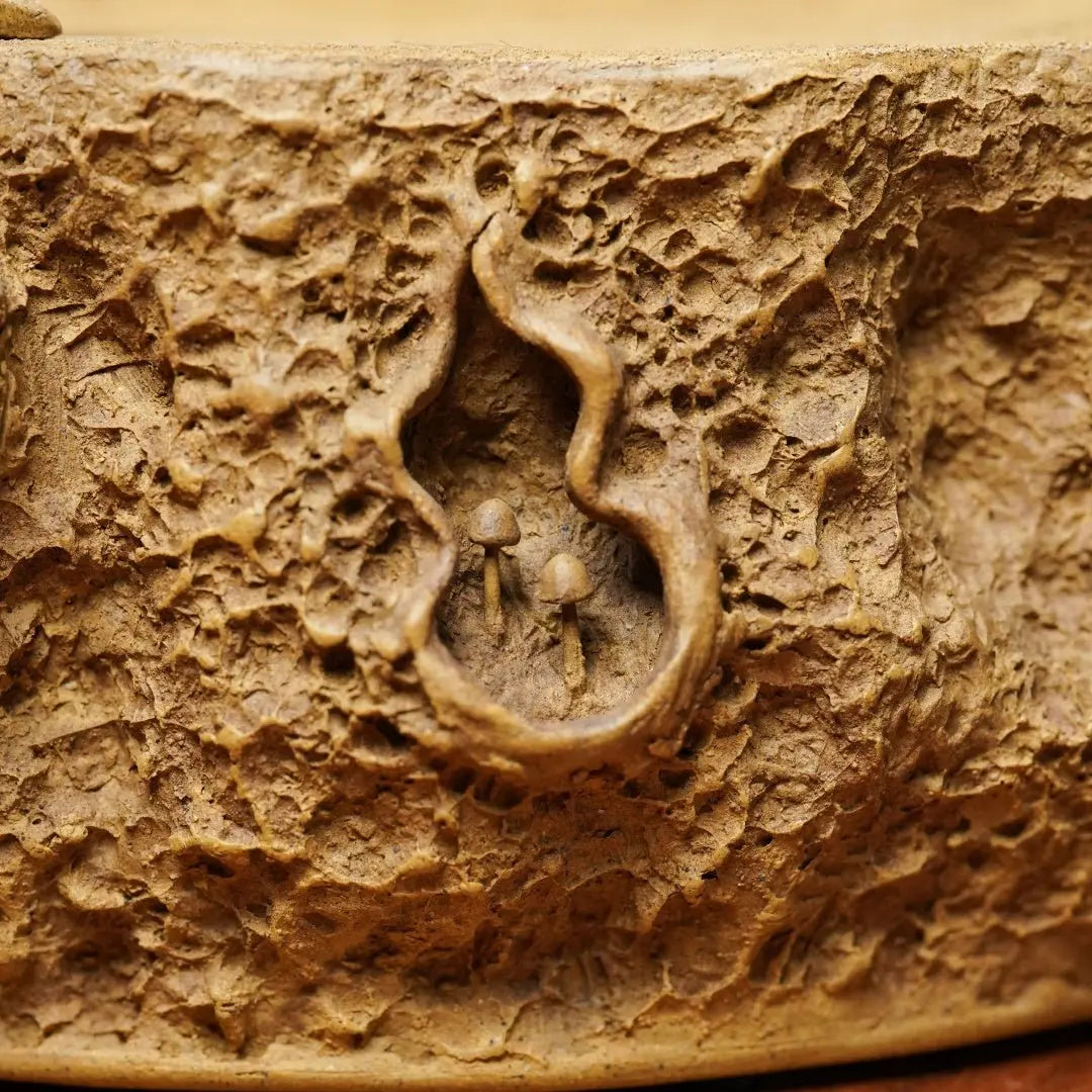 Shu Lai Bao - Dry Bubble Tray 江苏宜兴