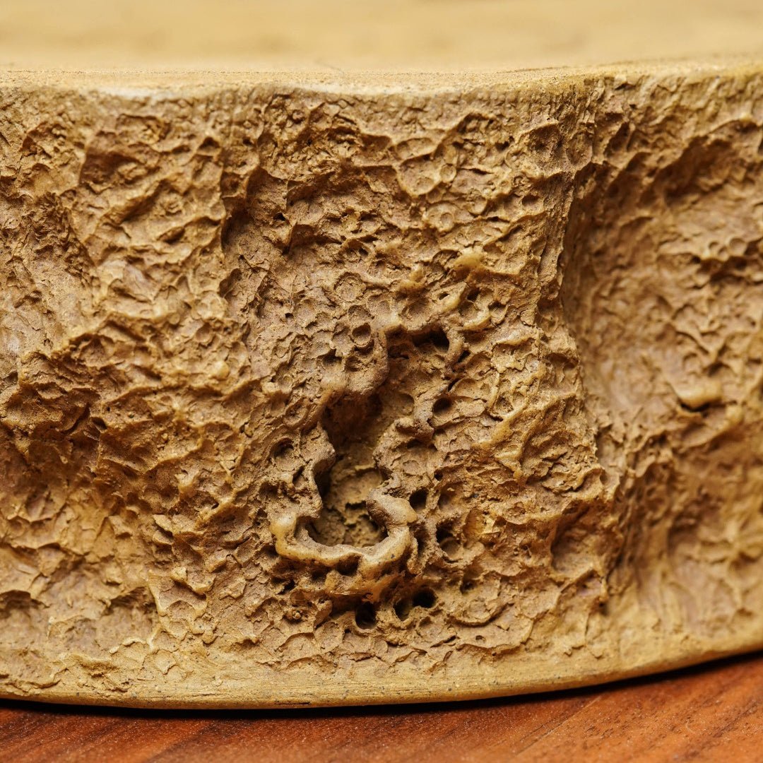 Shu Lai Bao - Dry Bubble Tray 江苏宜兴