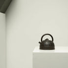 Shu Yin Ti Liang 130cc - Yixing Handmade Teapot 江苏宜兴
