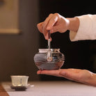 Shui Bo Wen Ti Liang 300cc - Handmade silver pot zycschina