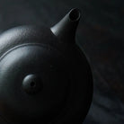Shui Ping 100cc - Yixing Handmade Teapot 江苏宜兴