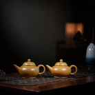 Shui Ping 160cc - Yixing Handmade Teapot 江苏宜兴