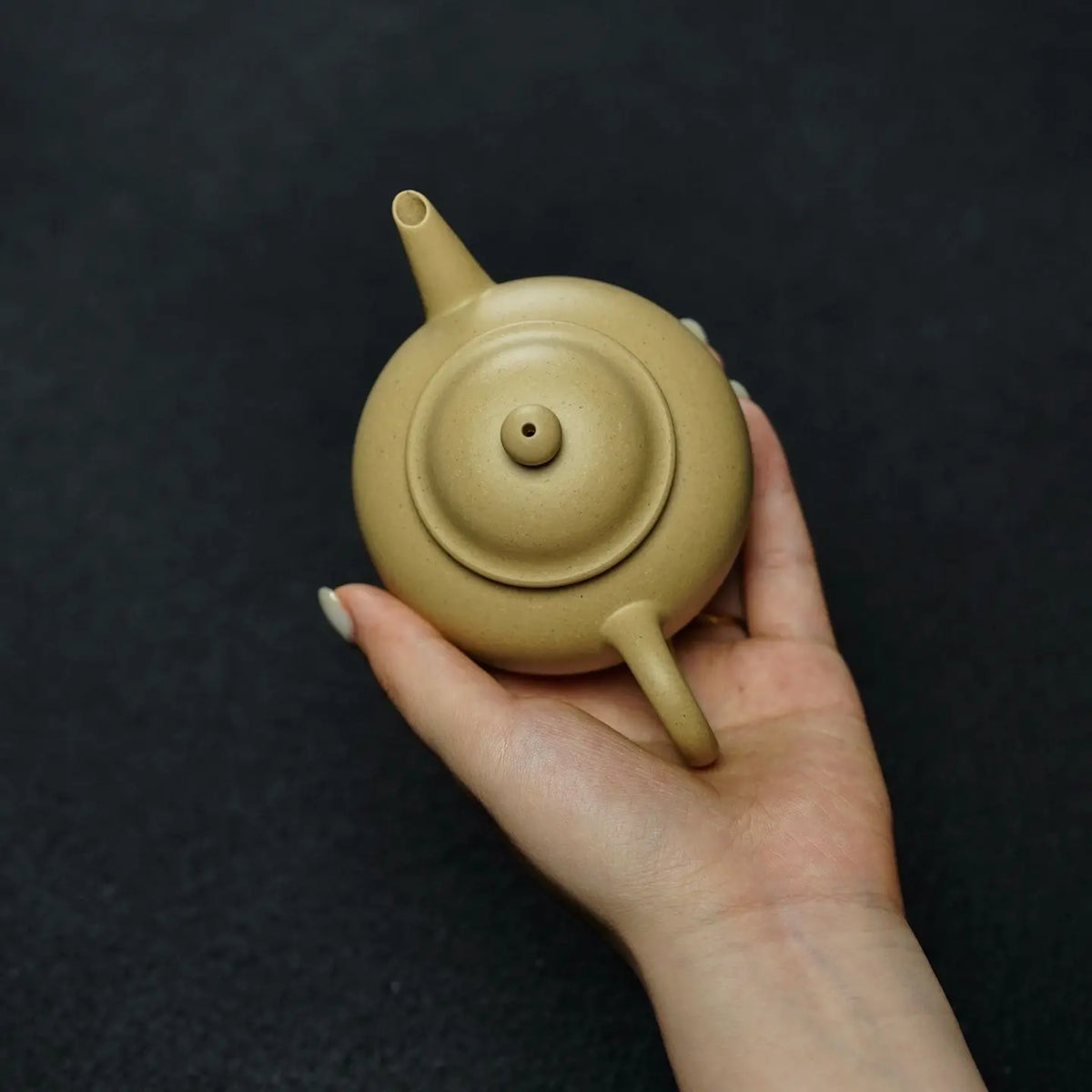 Shui Ping 160cc - Yixing Handmade Teapot 江苏宜兴
