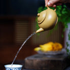 Shui Ping 180cc - Yixing Handmade Teapot 江苏宜兴