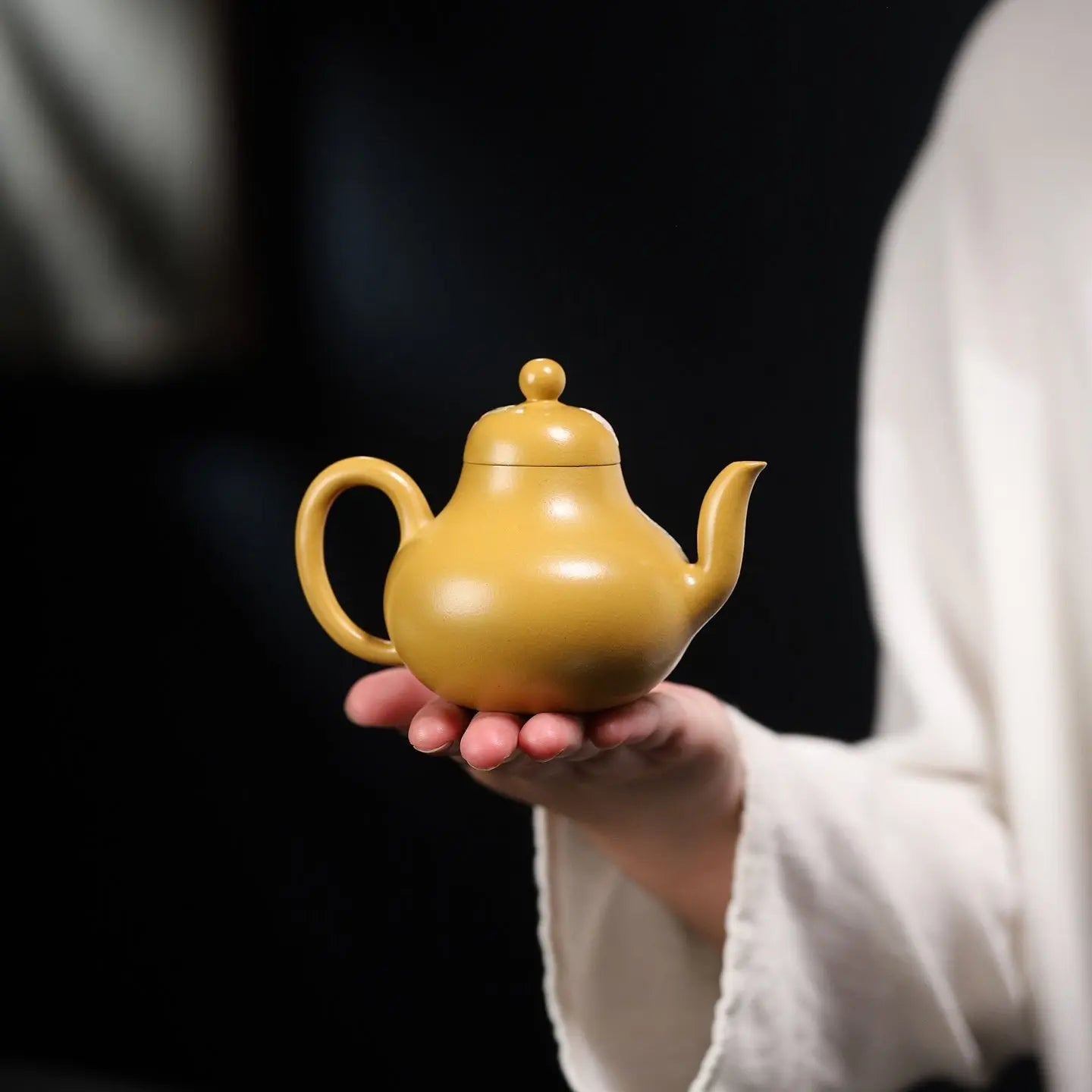 Si TIng 170cc - Yixing Handmade Teapot 江苏宜兴