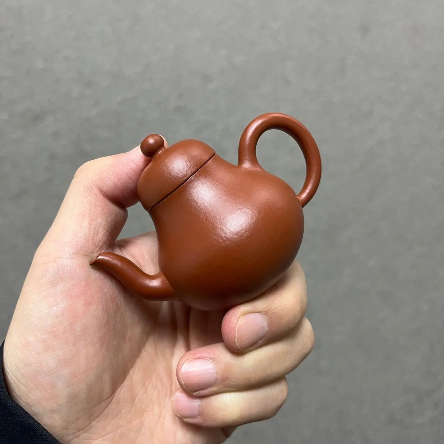 Si Ting 75cc - Yixing Handmade Teapot 江苏宜兴