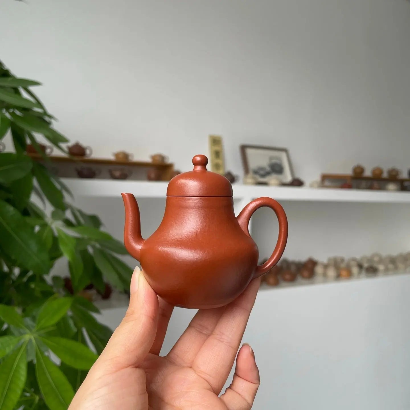 Si Ting 90cc - Yixing Handmade Teapot 江苏宜兴