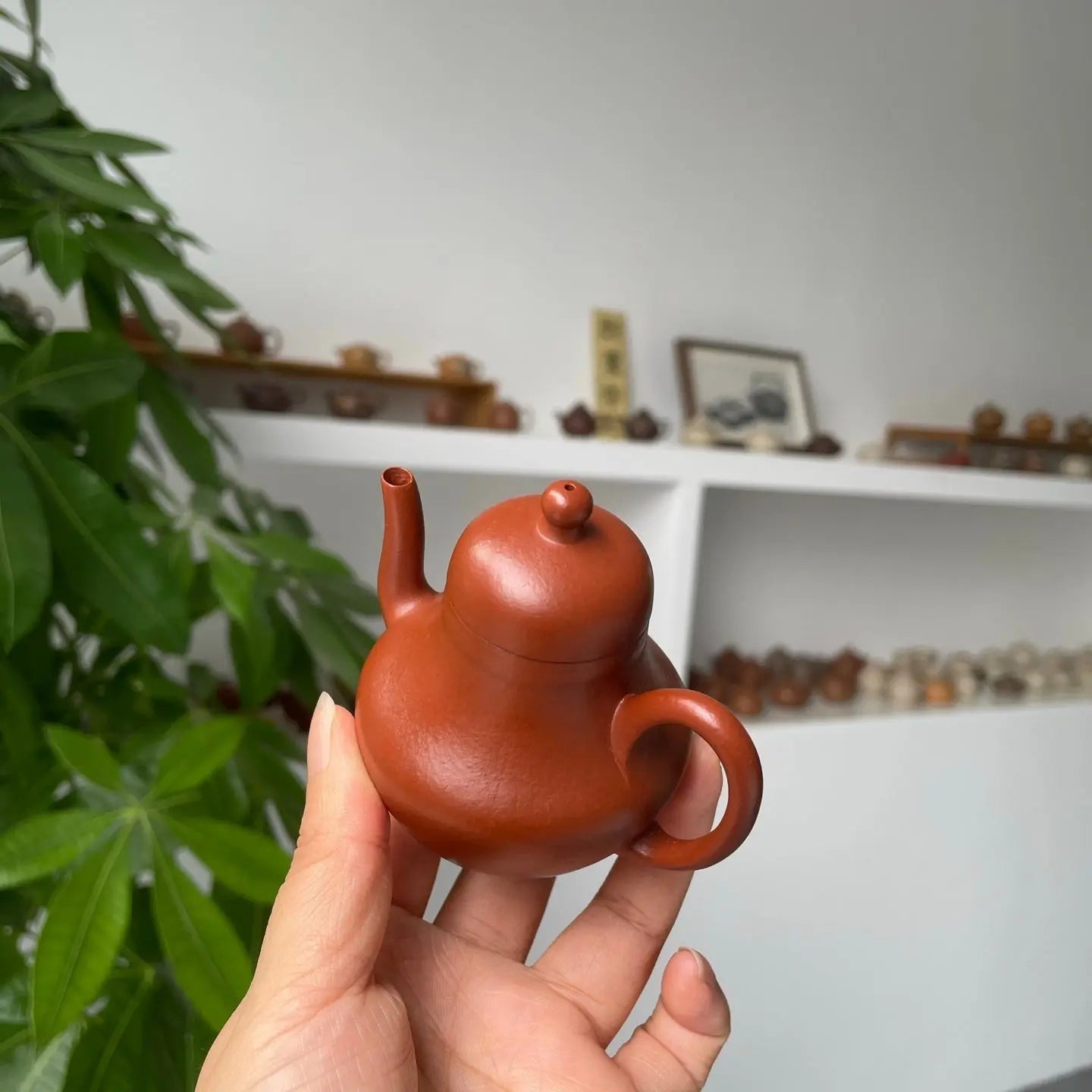 Si Ting 90cc - Yixing Handmade Teapot 江苏宜兴