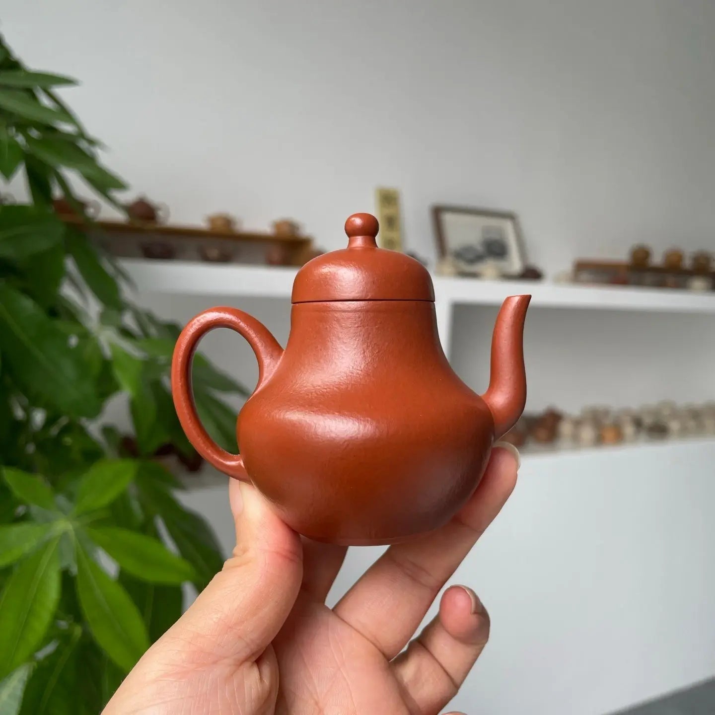 Si Ting 90cc - Yixing Handmade Teapot 江苏宜兴