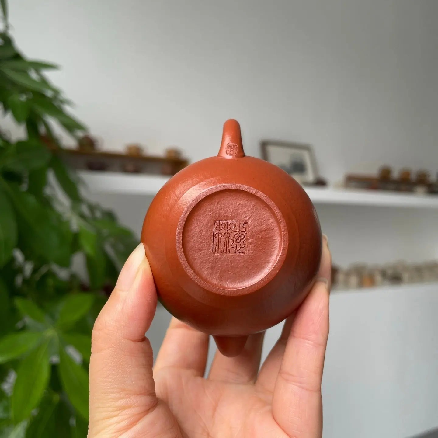 Si Ting 90cc - Yixing Handmade Teapot 江苏宜兴