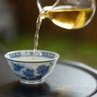 Song Gu Xun You - Jing De Zhen Porcelain Teacup zycschina