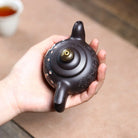 Song Shu 110cc - Yixing Handmade Teapot 江苏宜兴