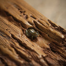 Song Shu - Dry Bubble Tray 江苏宜兴