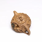 Song Shu Gong Chun 250cc - Yixing Handmade Teapot 江苏宜兴