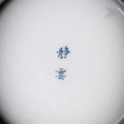 Song Zhen 80cc - Jing De Zhen Porcelain Gaiwan zycschina