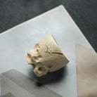 Tai Hu Shi 100cc - Yixing Handmade Teacup 江苏宜兴