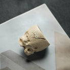 Tai Hu Shi 100cc - Yixing Handmade Teacup 江苏宜兴