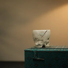 Tai Hu Shi 100cc - Yixing Handmade Teacup 江苏宜兴