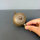 Tai Hu Shi Qu 120cc - Yixing Handmade Teapot 江苏宜兴