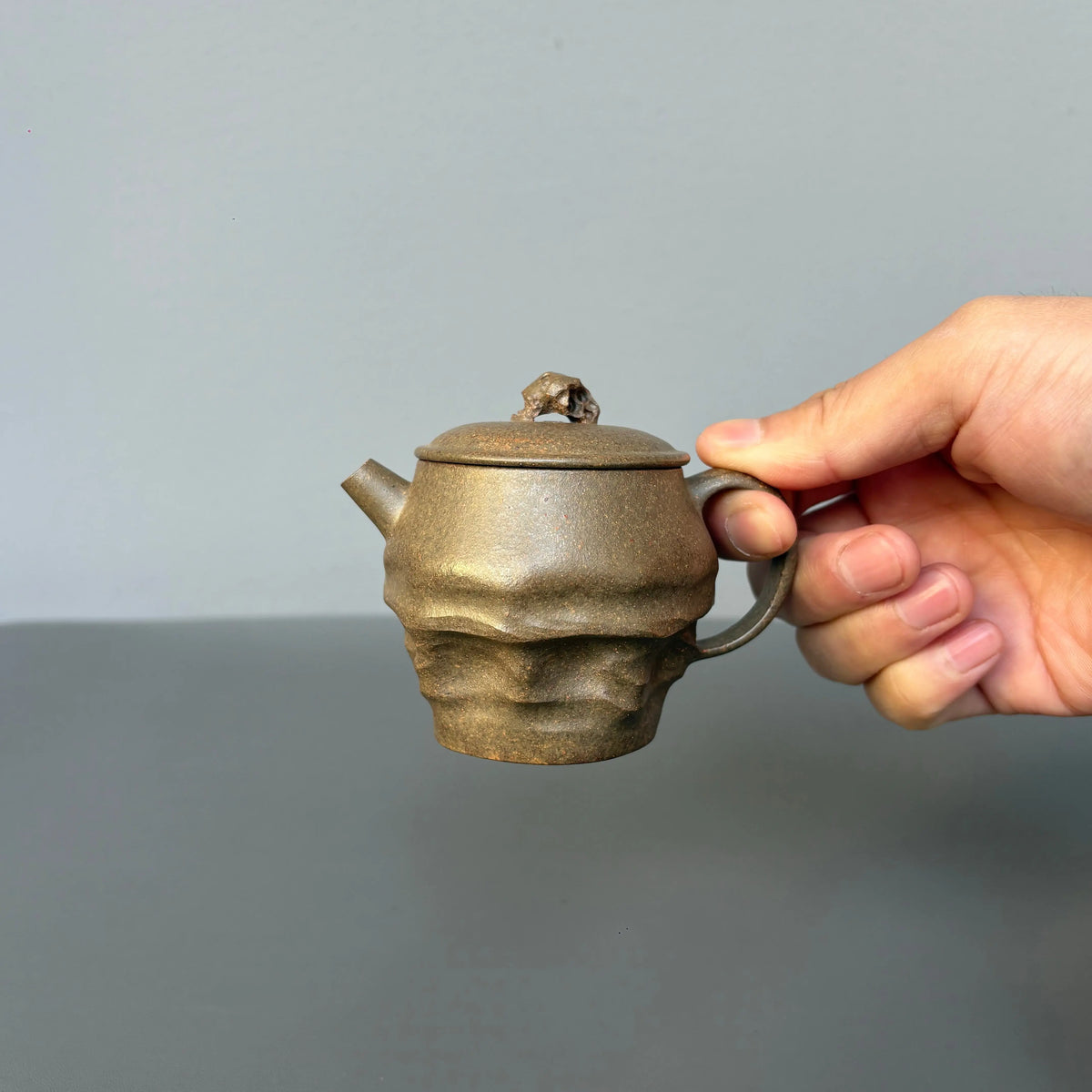Tai Hu Shi Qu 120cc - Yixing Handmade Teapot 江苏宜兴