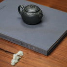 Tai Hu Shi Qu 130cc - Yixing Handmade Teapot 江苏宜兴
