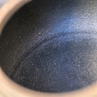 Tai Hu Shi Qu 130cc - Yixing Handmade Teapot 江苏宜兴