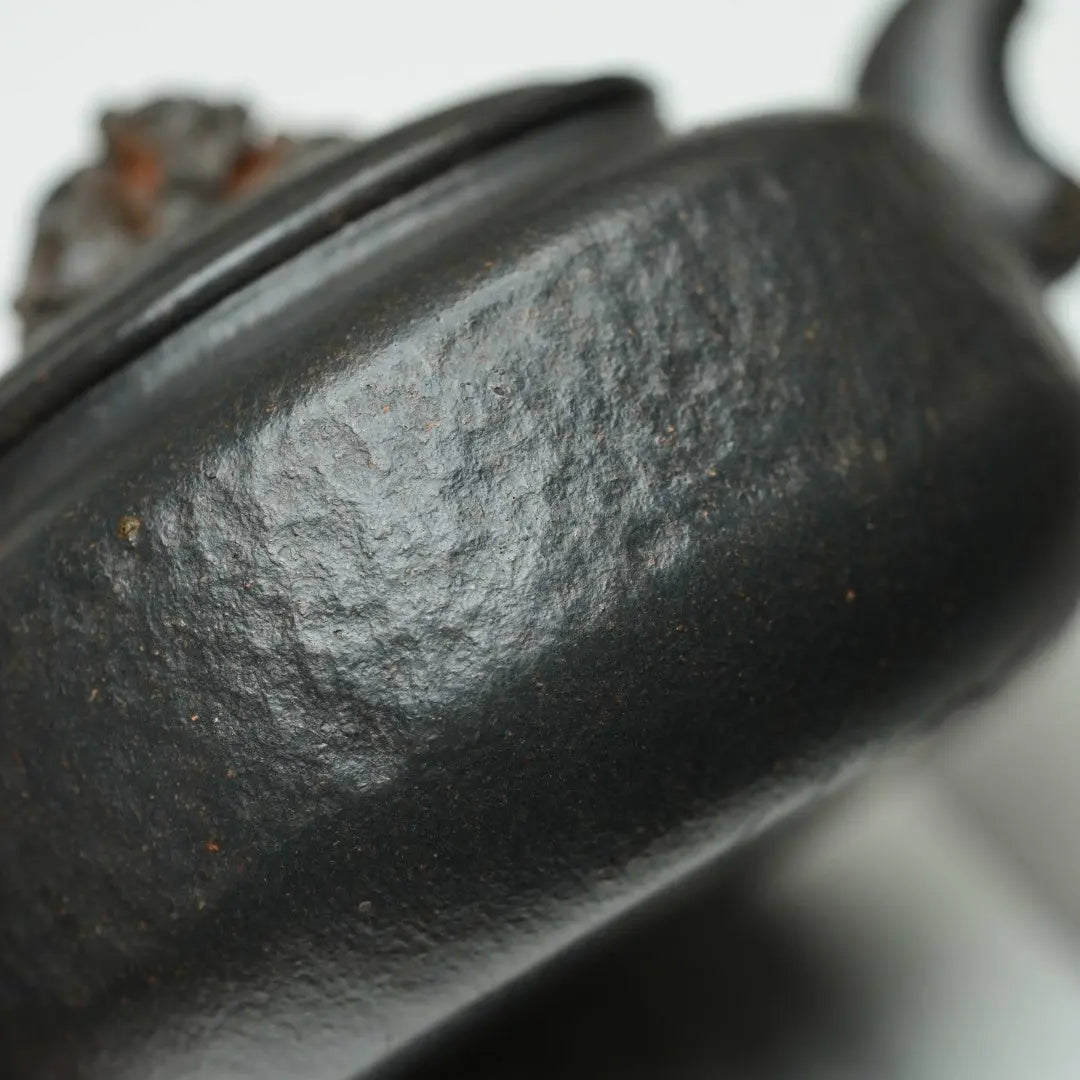 Tai Hu Shi Qu 150cc - Yixing Handmade Teapot 江苏宜兴