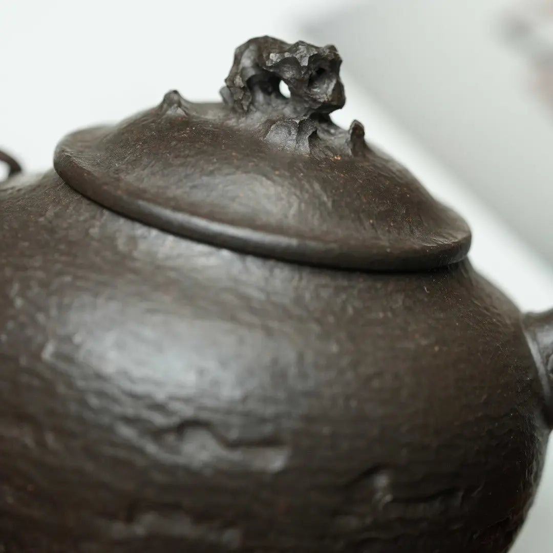 Tai Hu Shi Qu 170cc - Yixing Handmade Teapot 江苏宜兴