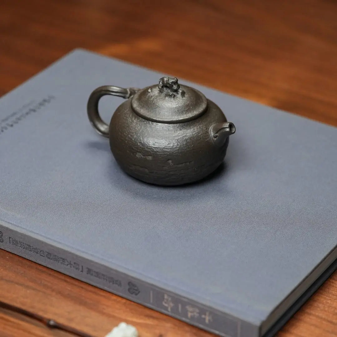 Tai Hu Shi Qu 170cc - Yixing Handmade Teapot 江苏宜兴