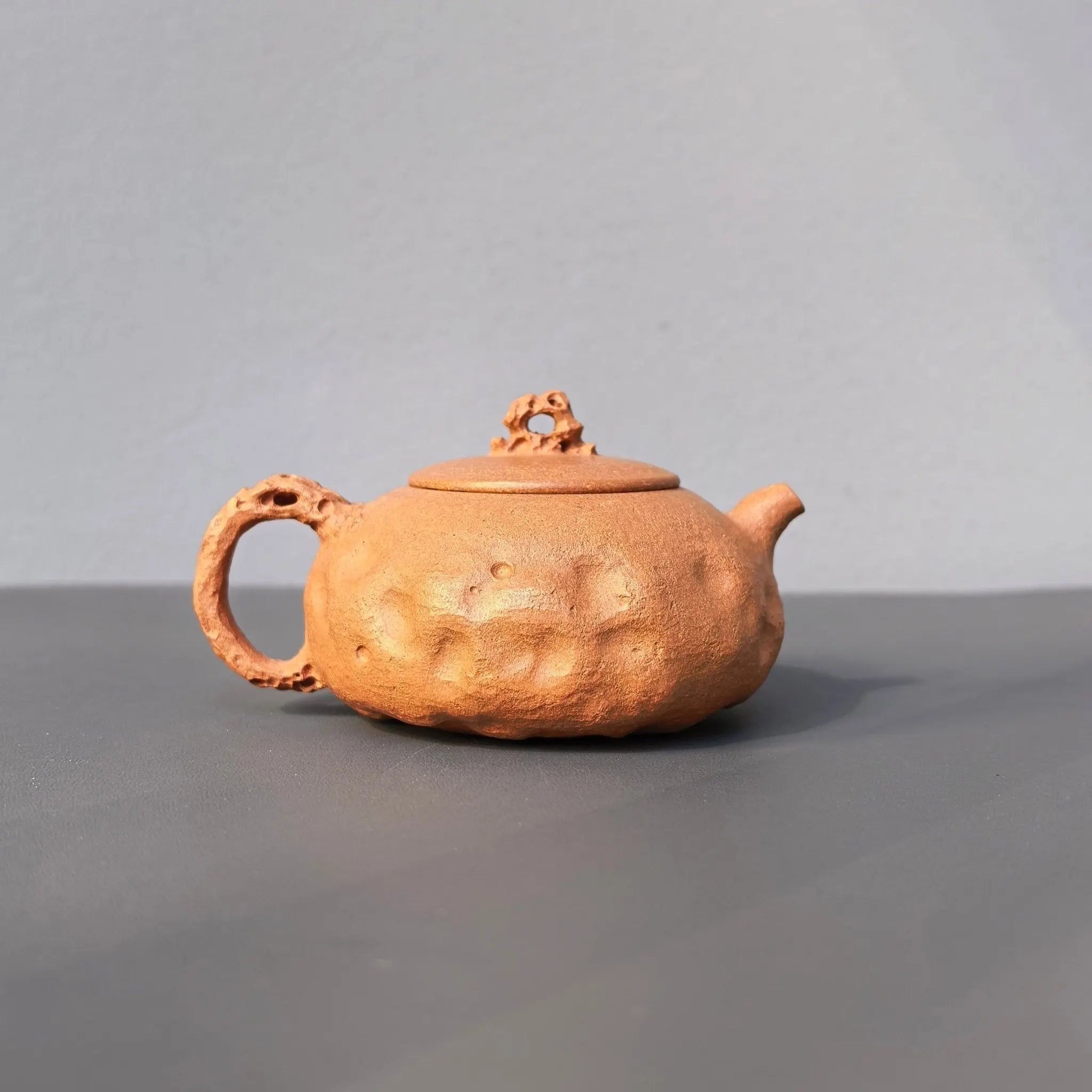 Tai Hu Shi Qu 180cc - Yixing Handmade Teapot 江苏宜兴