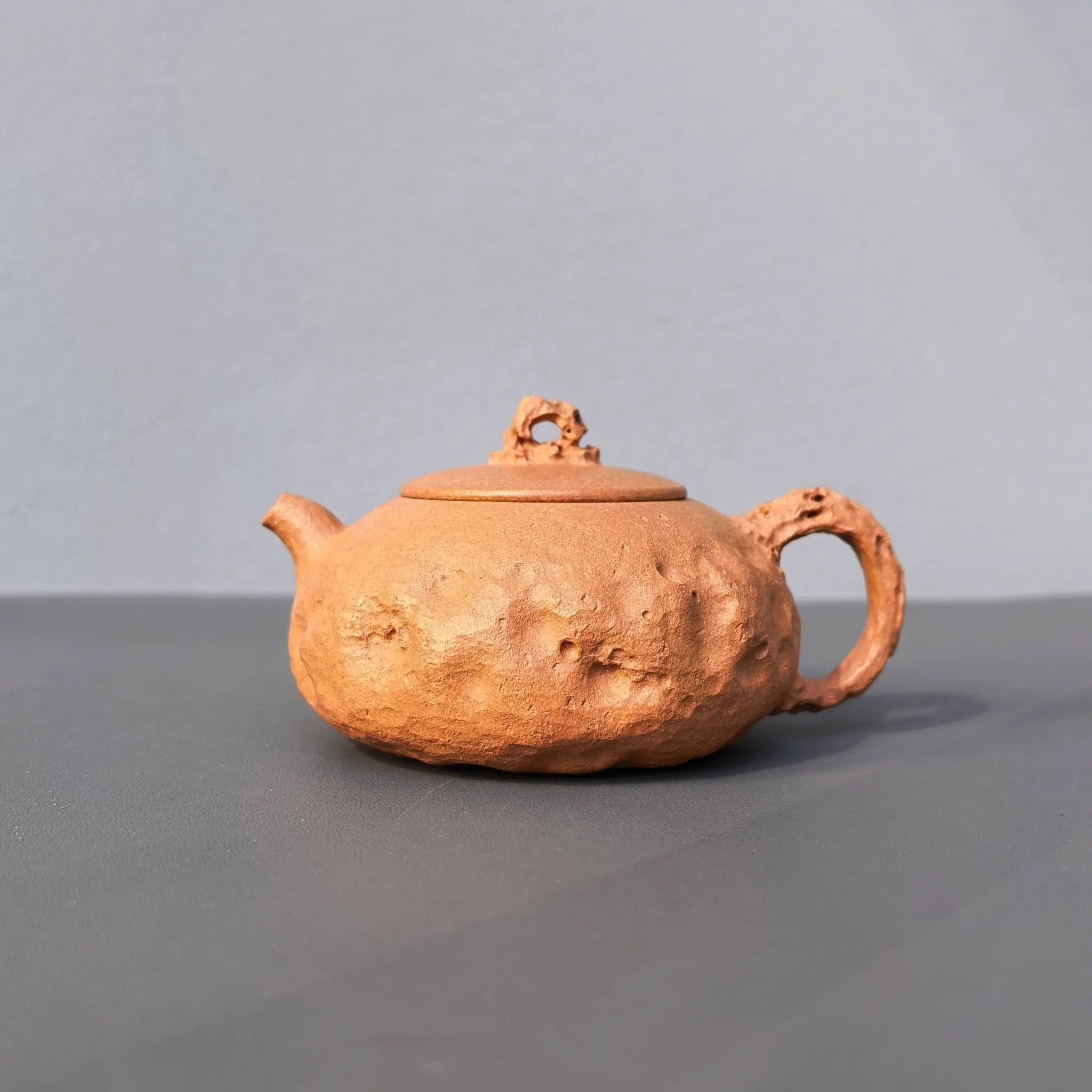 Tai Hu Shi Qu 180cc - Yixing Handmade Teapot 江苏宜兴