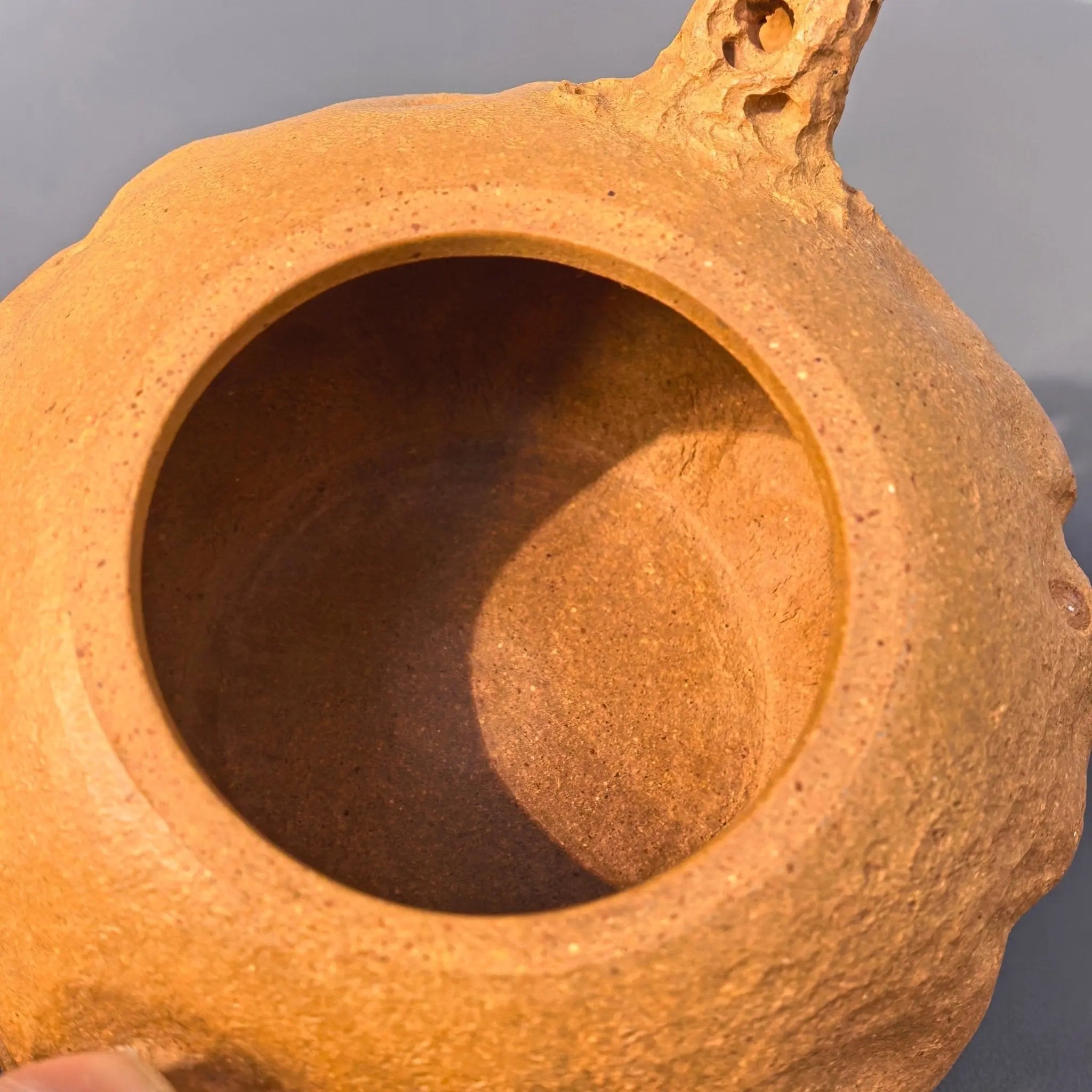 Tai Hu Shi Qu 180cc - Yixing Handmade Teapot 江苏宜兴