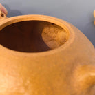 Tai Hu Shi Qu 180cc - Yixing Handmade Teapot 江苏宜兴
