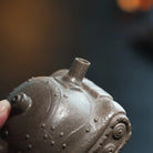 Tan Ke 180cc - Yixing Handmade Teapot 江苏宜兴