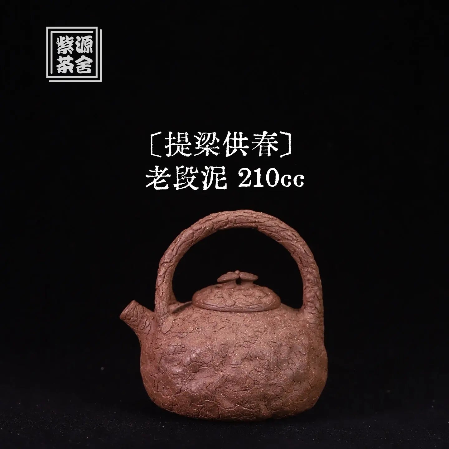 Ti Liang Gong Chun 210cc - Yixing Handmade Teapot 江苏宜兴