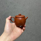 Tian Fang Di Yuan 170cc - Yixing Handmade Teapot 江苏宜兴