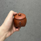 Tian Fang Di Yuan 170cc - Yixing Handmade Teapot 江苏宜兴