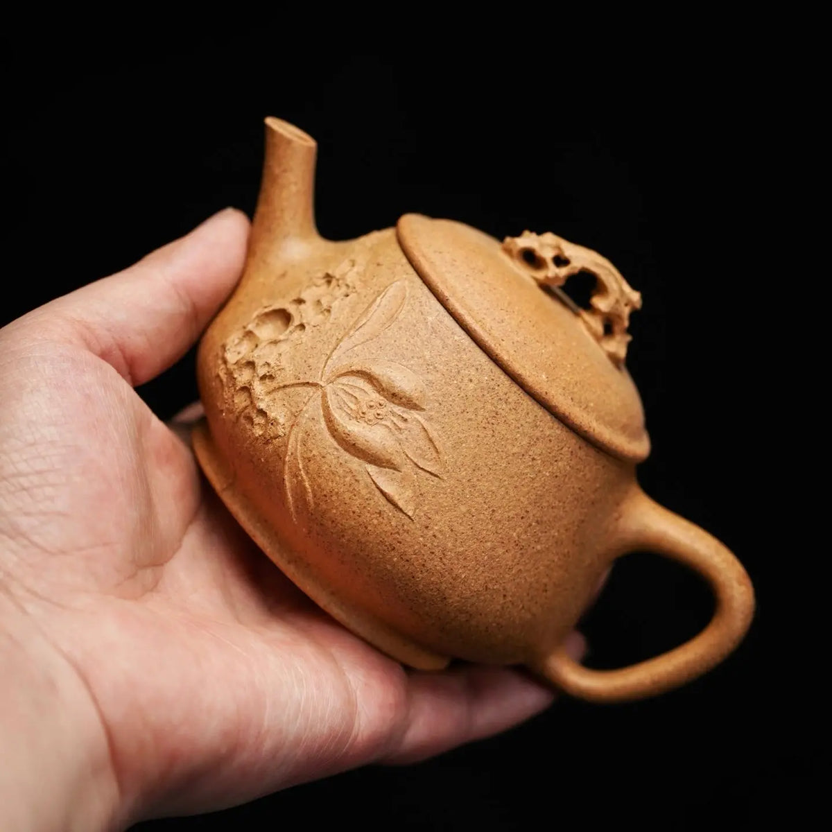 Ting Lian 190cc - Yixing Handmade Teapot 江苏宜兴