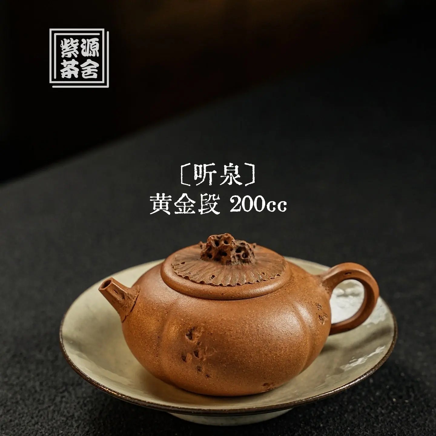 Ting Quan 200cc - Yixing Handmade Teapot 江苏宜兴