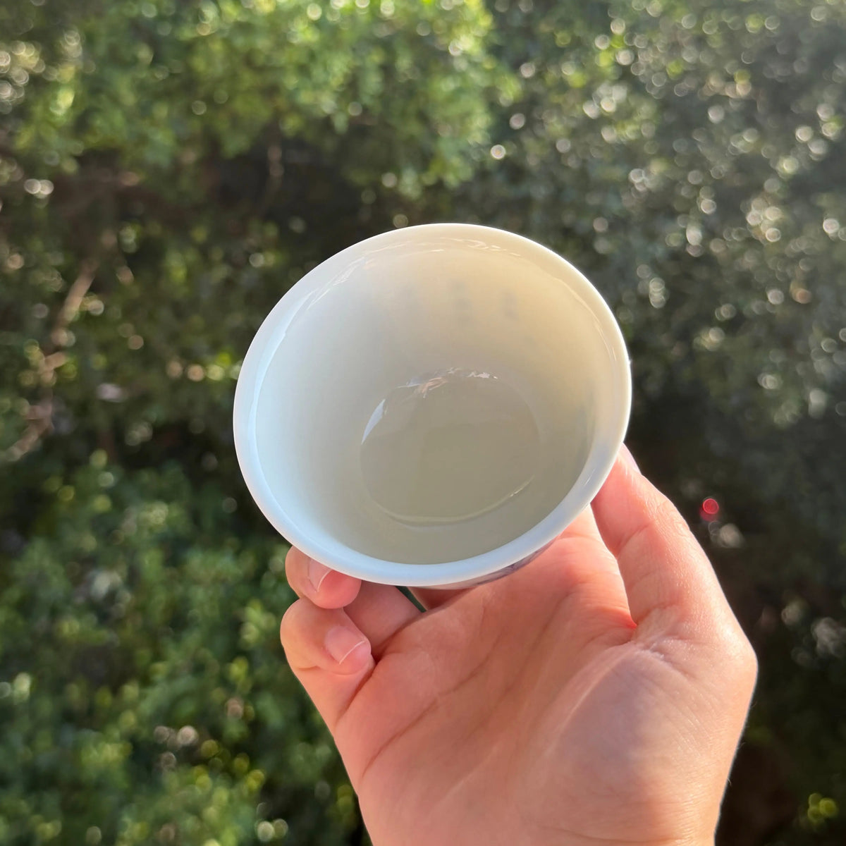 Tong Le 160cc - Jingdezhen Porcelain Gaiwan zycschina