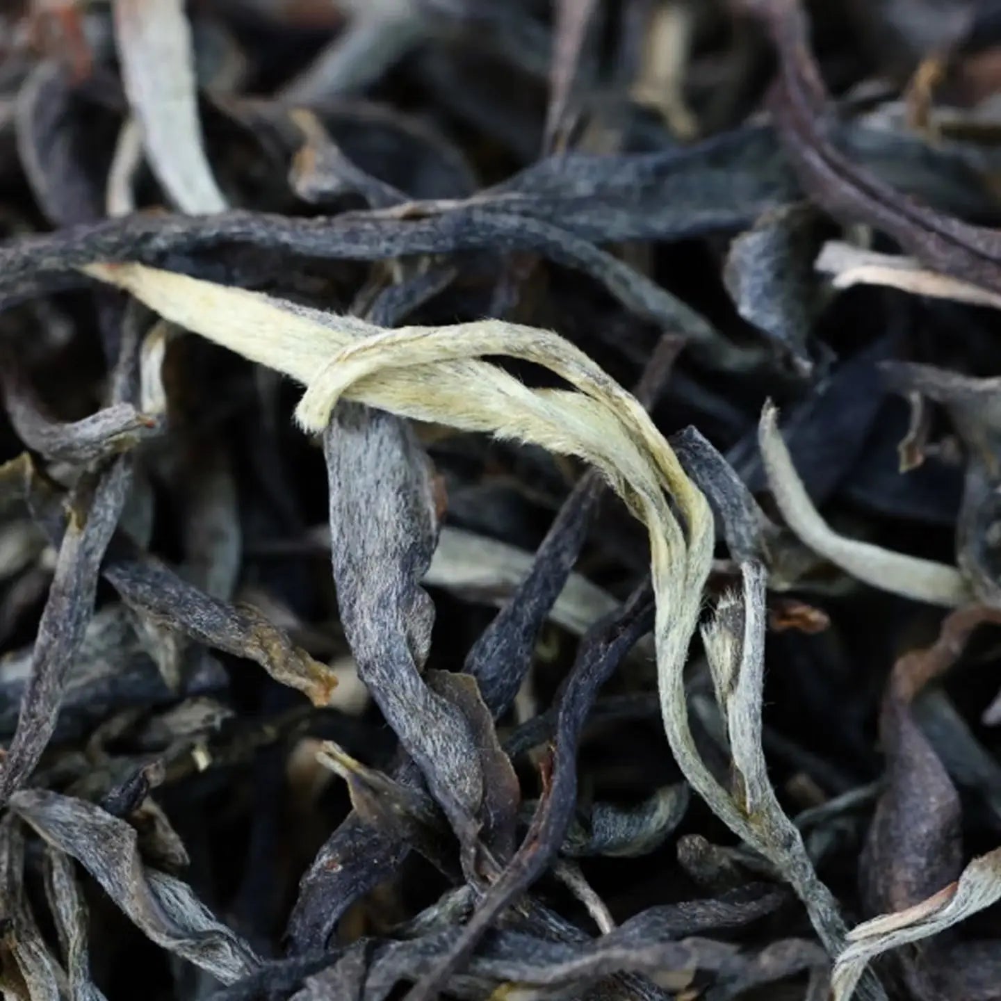 Tou Chun Pu'er Tea - Fine Tea zycschina