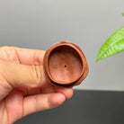 Wan Xiang Geng Xin 200cc - Yixing Handmade Teapot 江苏宜兴