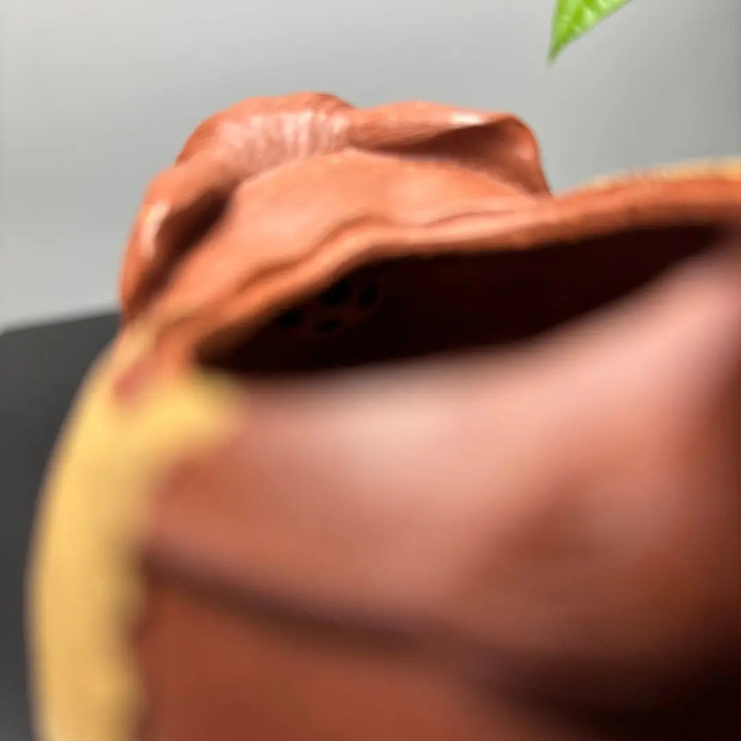 Wan Xiang Geng Xin 200cc - Yixing Handmade Teapot 江苏宜兴