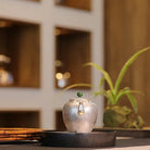 Wan Zui Long Yan 200cc - Handmade silver pot zycschina