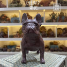 Wang Cai - Tea Pet 江苏宜兴